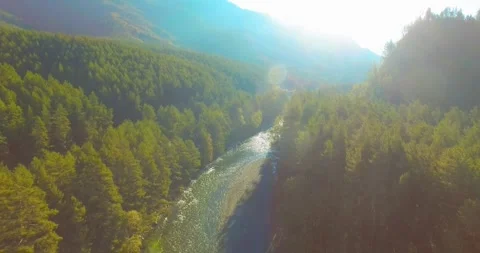 Low altitude flight over fresh fast mountain river with rocks at sunny summer Stock Footage 294489202