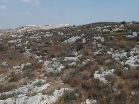 Low altitude flight over land with rocks and wild weeds Stock Footage 80344567