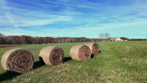 Low Altitude Fly Over Of Round Hay Bales 스톡 동영상 294257662