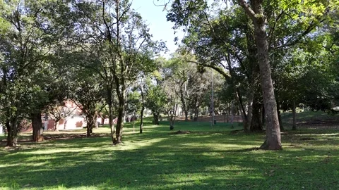 Low-altitude forward drone tracking shot through a beautiful park surrounded by Vídeo Stock 342801652