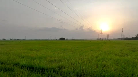 Low Altitude Forward Flight Over Green Punjab Farms at Sunset Video stock 333069974
