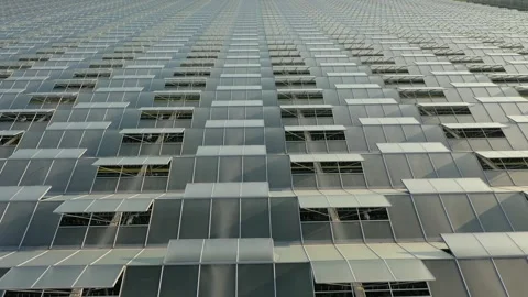 Low altitude lateral drone over greenhouse complex 库存影片 328336620