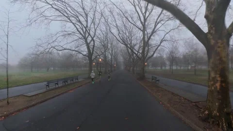 A low altitude shot of joggers on path lined with leafless trees in Flushing Stock Footage 333341836