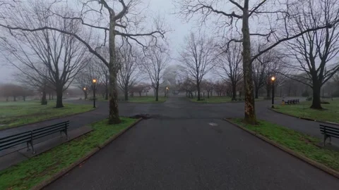 Low altitude shot of a paved walking path lined with leafless trees in Flushing Stock Footage 333342038