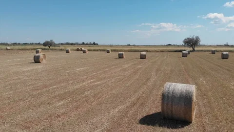 Low altitude shot of straw wheat bales in field Stock Footage 129149401