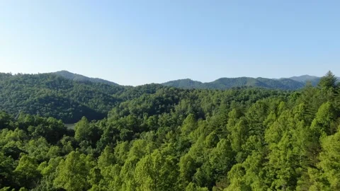 Low and fast drone over green trees in Smoky Mountains on sunny day Stock Footage 194290482