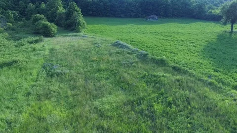Low and Fast flying towards an old and abandoned house above the meadow Stock-Footage 111634331