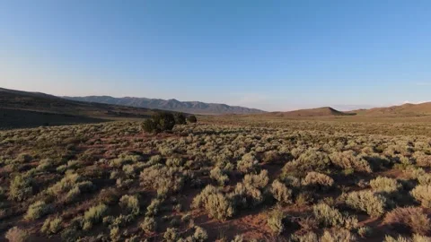 Low and Fast FPV Drone Flying Over Nevada Desert Stock Footage 245532212