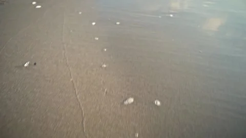 Low and forward motion view of golden beach sand on the shore Stock-Footage 134054184