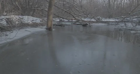 Low and slow float over a frozen creek., through the Winter Forest Stock Footage 232180296
