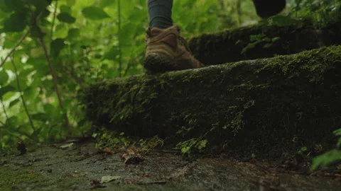 Low-angle, action shot of a hiker wearing brown boots walking up moss-covered 库存影片 336204806