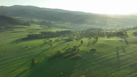 Low angle aerial flight over vibrant green fields in Czorsztyn valley, morn.. Stock Footage 335460143