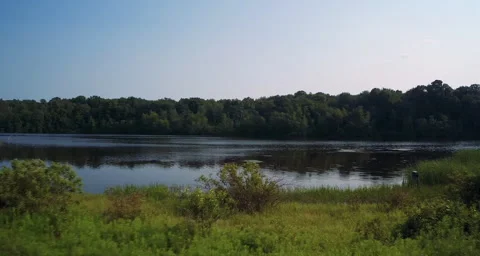 Low angle aerial over grass and water Stock Footage 54707454