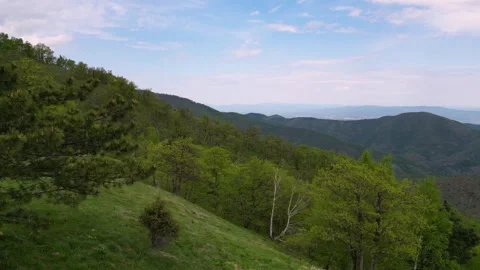 Low angle aerial reveal tracking right past trees to green mountain panorama Stock Footage 342241173