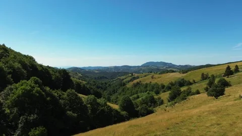 Low angle aerial tilt up over grass and flowers revealing green valley Serbia Stock Footage 342242425