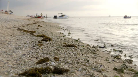 Low Angle Beach Stock Footage 32153488