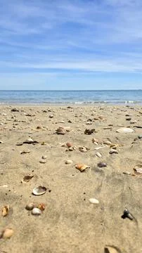 Low Angle Beach Shot with Shells, Wet Sand and Cirrus Clouds Stock Photos