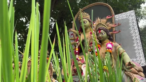 From a low angle behind the grass, the idols of Maa Durga, Laxmi, and Kartick Vidéo 295016019