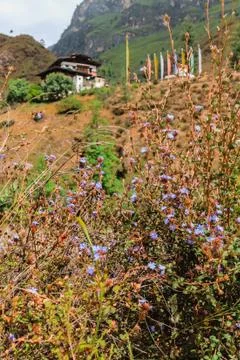 Low-angle blurry view of Tamchog Monastery, Paro, Bhutan. Stock Photos