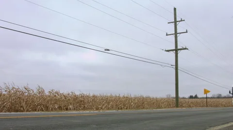 Low angle of bus passing cornfield in Winter 4K Stock Footage 45298932