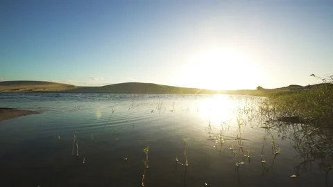 Low Angle Calm Water by the Dunes Video stock 152169038