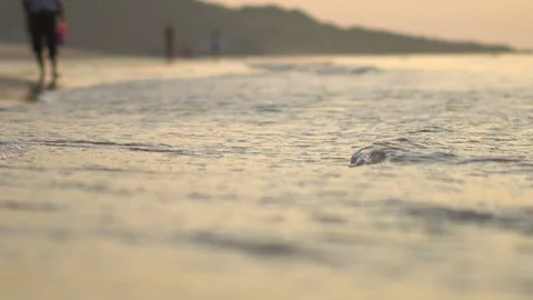 Low Angle of Calm Waves Crashing at Beach During Colorful Sunset Stock Footage 120331710