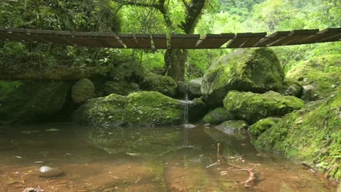 Low angle camera, suspension bridge, scenic landscape for trekking with fores Stock Footage 159841302