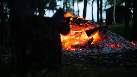 Low Angle of Campfire in Woods at Night Video stock 85183282