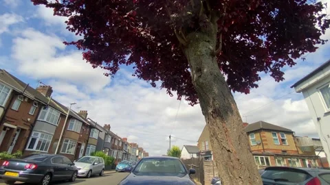 Low Angle Car Mounted Camera Luton City Street View Footage Video stock 314414238