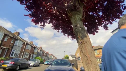Low Angle Car Mounted Camera Luton City Street View Footage Stock Footage 314414807