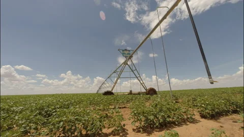 Low angle of center pivot in cotton field under clouds, 4K. Stock Footage 141401487