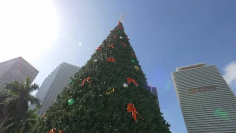 Low angle of a Christmas tree Stock Footage 87127506