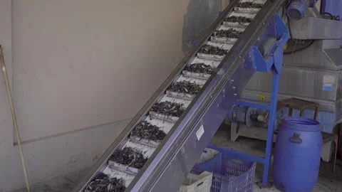 Low angle cinematic shot of olive processing line in olive oil factory Stock Footage 327544662