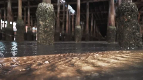Low angle cinematic view of rippling water beneath wooden pier stilts covered in 스톡 동영상 314765236