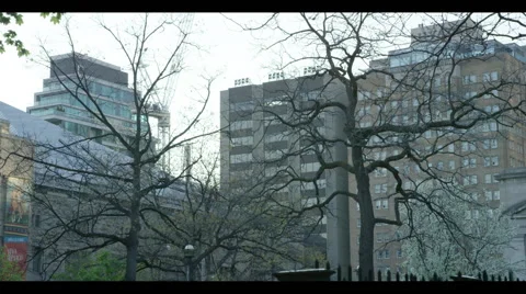 Low angle of city buildings with tree branches in front Vidéo 57094258