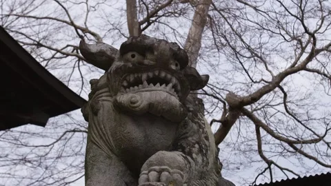 Low-Angle Close-Up of a Fierce Stone Komainu Guardian Statue in Japan Stock Footage 336565953