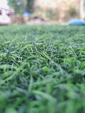 Low angle close-up of green artificial grass mat outdoor Stock Photos
