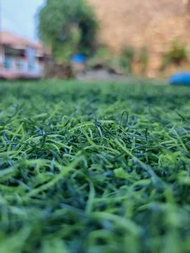 Low angle close-up of green artificial grass mat outdoor Stock Photos