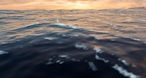 Low angle close up sea wave on sunset view Stock Photos