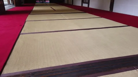 Low Angle Close Up Tatami Mat Flooring Red Felt Carpet Japan, House Background Stock Footage 344055849