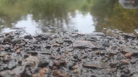 Low Angle Close Up Of Wet Pebbles And Gravel On River Shore Stock Footage 348068457