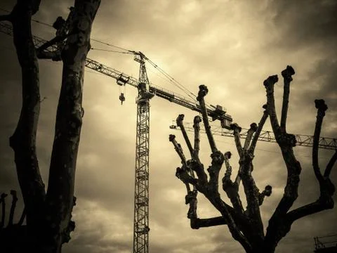 Low angle closeup shot of bare trees with construction on the background Stock Photos