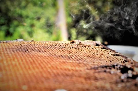 Low angle closeup shot of bees creating a honeycomb full of delicious honey Stockfoto's