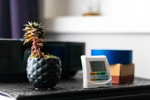 A  low angle closeup shot of a small plant and an alarm on a bedside table in Stock Photos