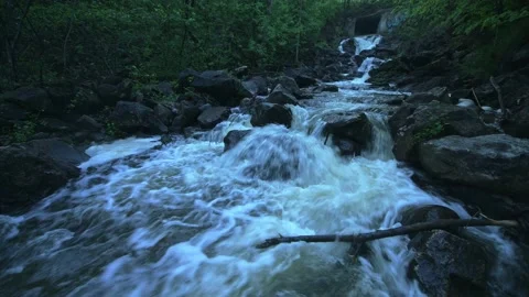 Low angle closeup of waterfall flowing stream in a dark moody forest Stock-Footage 235756470