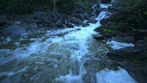 Low angle closeup of waterfall flowing stream in a dark moody forest Stock-Footage 235756601