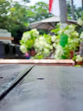 Low angle closeup of wooden tabletop with blurred green garden background. Fotos de archivo