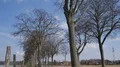 Low angle countryside land road traffic with leafless trees blue sky and clouds HD Footage