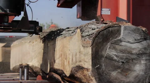 Low angle CU portable sawmill blade cuts thru log Stock Footage 40472098