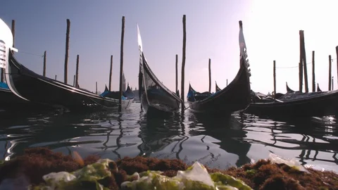 Low angle daytime waterside shot of Venice gondolas 스톡 동영상 128318710